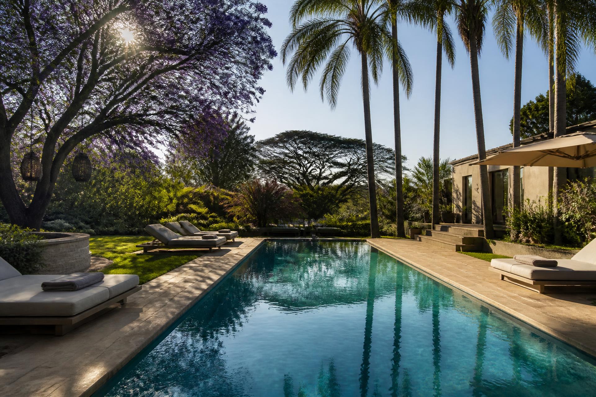 Elegant private pool surrounded by palms and jacaranda trees